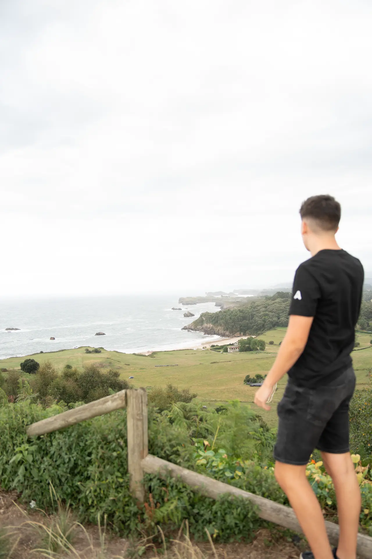 Astia en la costa asturiana